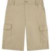Pale Khaki